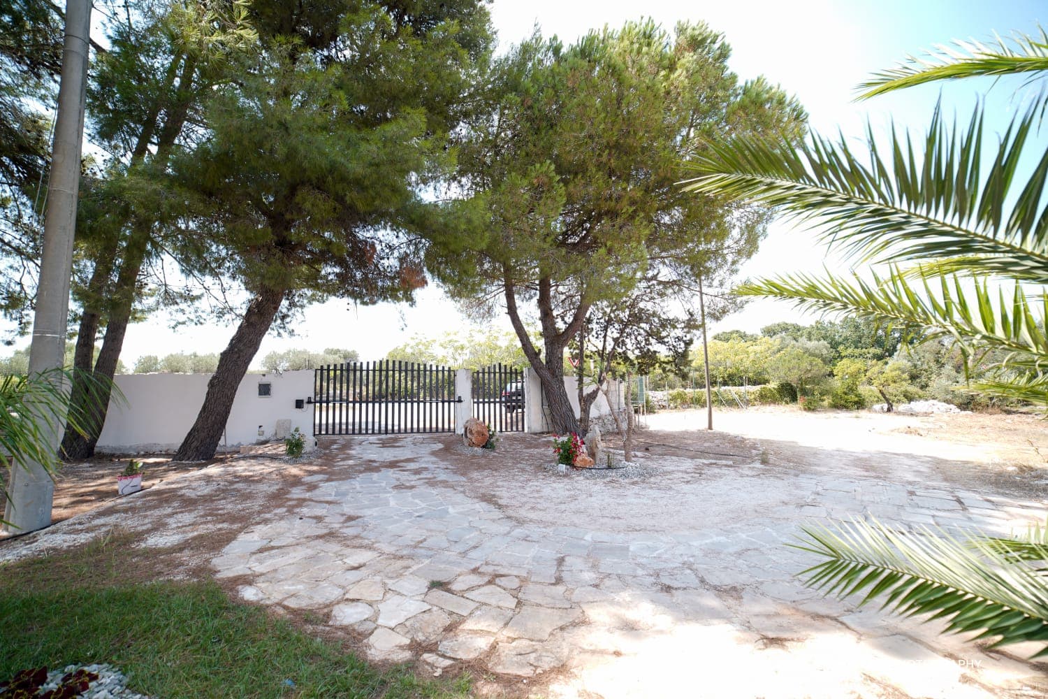 Gallery image 36