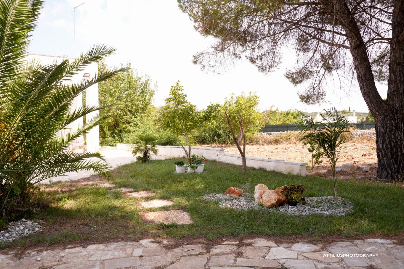 Gallery image 39